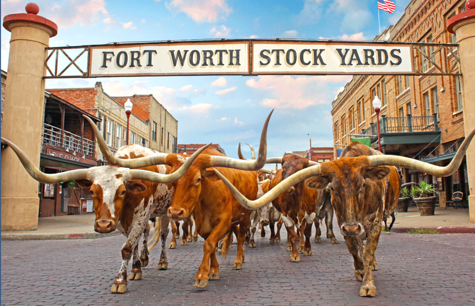 @AISAPinfo Annual Institute: My 14 Favorite Fun Facts about Fort Worth